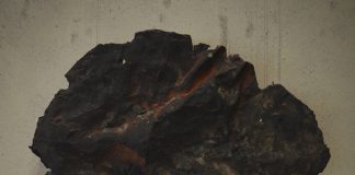 《痕跡を辿る》瀧本 泰士 《痕跡を辿る》瀧本 泰士