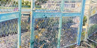 《Fence》城野 紗貴 《Fence》城野 紗貴