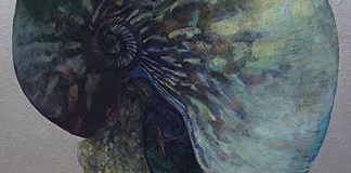 《へそまがり》澤田 麻実 《へそまがり》澤田 麻実