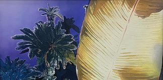 《Darkroom》大嶋 直哉