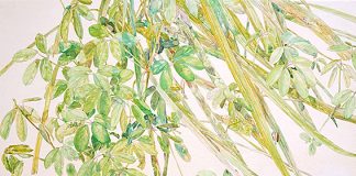 《温光》田澤 苑実 《温光》田澤 苑実